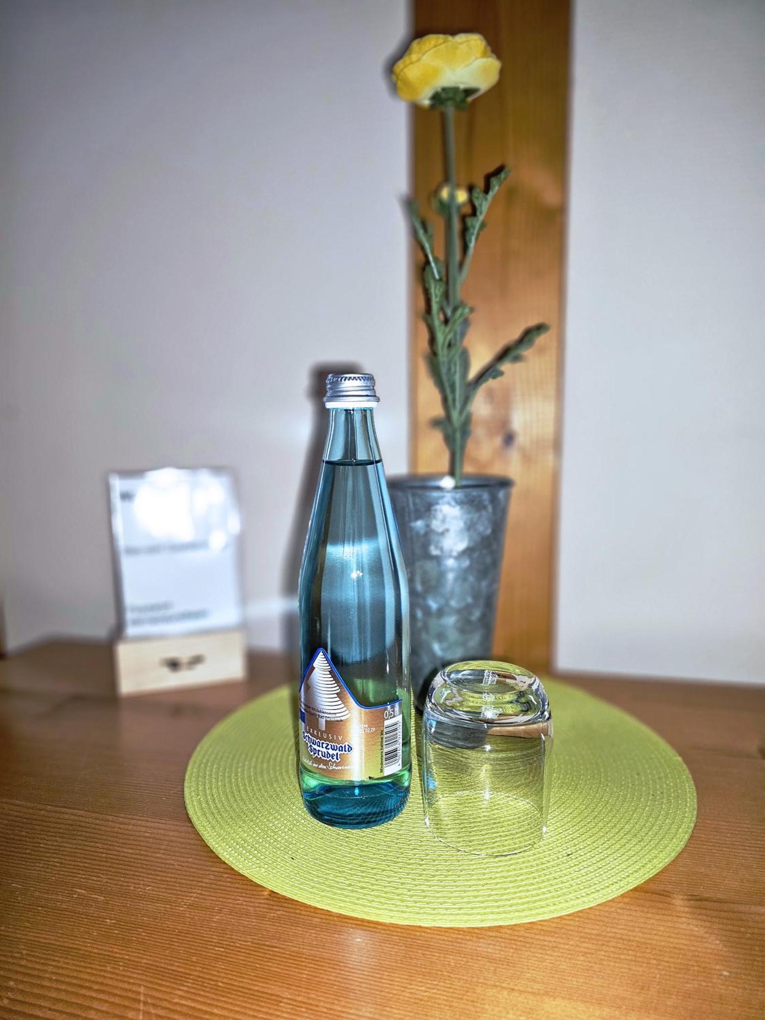 Landgasthaus Sternen Kehl Zewnętrze zdjęcie